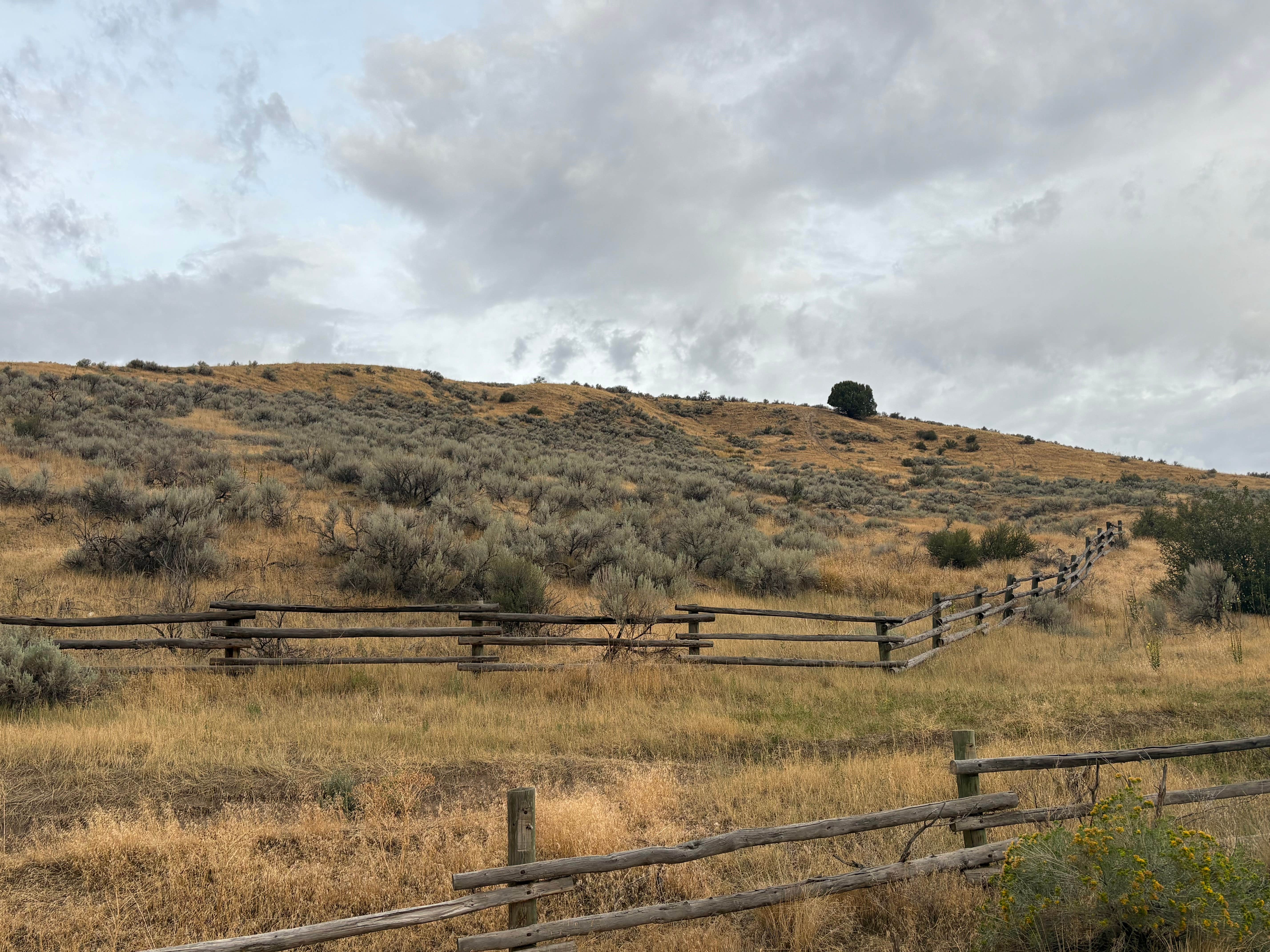 Camping near Goodenough Creek Campground: Blackrock Canyon Recreation Site, Inkom, Idaho