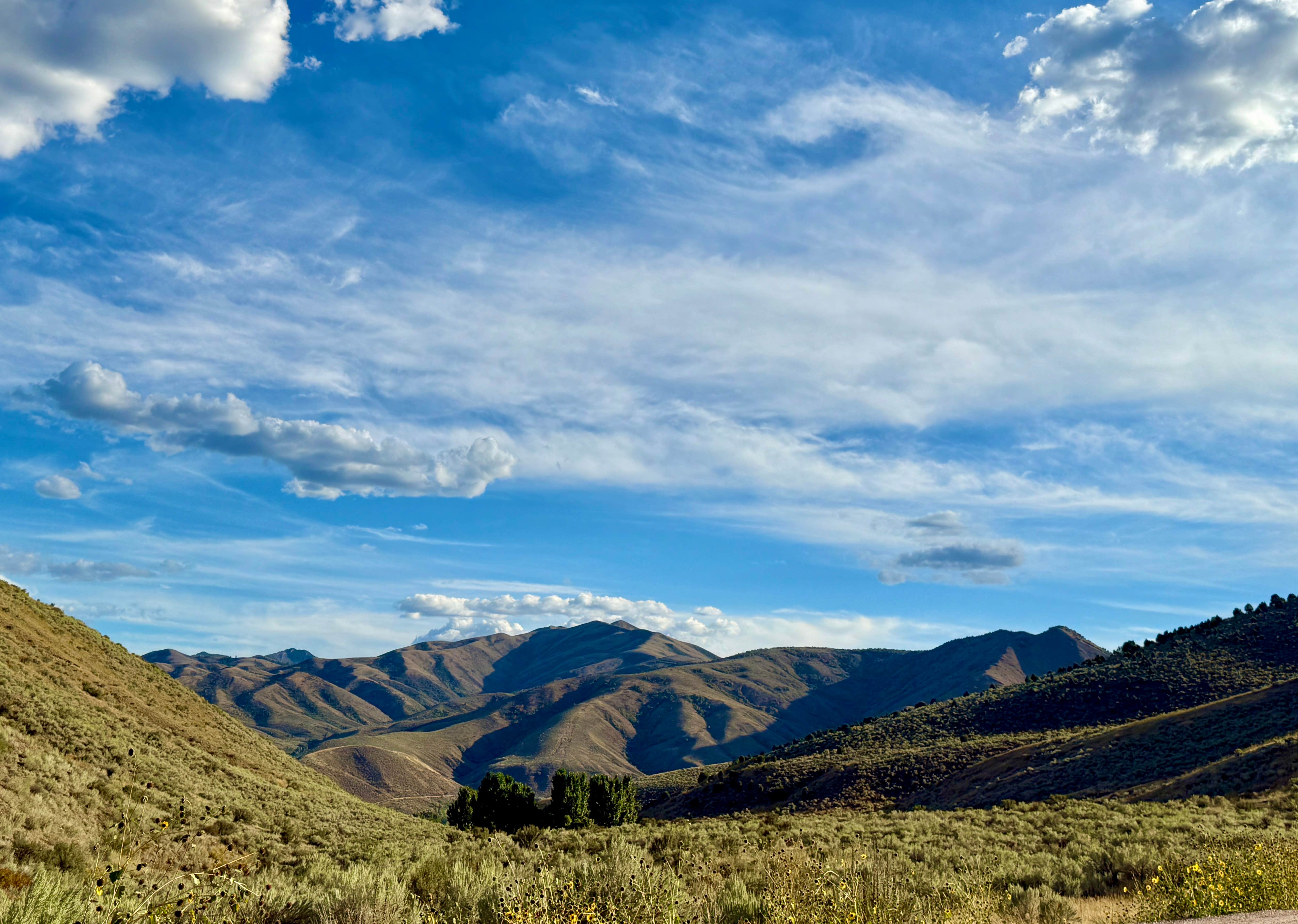Jessica B.'s photo of a dispersed camping area at Blackrock Canyon Recreation Site near Bancroft, ID