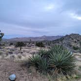 Review photo of Black Rock Campground — Joshua Tree National Park by Benjamin W., January 23, 2024