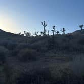 Review photo of Black Rock Campground — Joshua Tree National Park by Sierra T., March 16, 2025