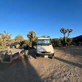Review photo of Black Rock Campground — Joshua Tree National Park by Emmi O., April 13, 2024
