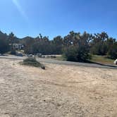 Review photo of Black Rock Campground — Joshua Tree National Park by Peggy M., March 8, 2026