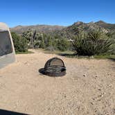 Review photo of Black Rock Campground — Joshua Tree National Park by Peggy M., March 8, 2026