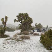 Review photo of Black Rock Campground — Joshua Tree National Park by Joseph B., February 22, 2023