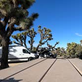Review photo of Black Rock Campground — Joshua Tree National Park by Ursula , February 13, 2026