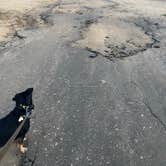 Review photo of Black Rock Campground — Joshua Tree National Park by Ursula , February 13, 2026