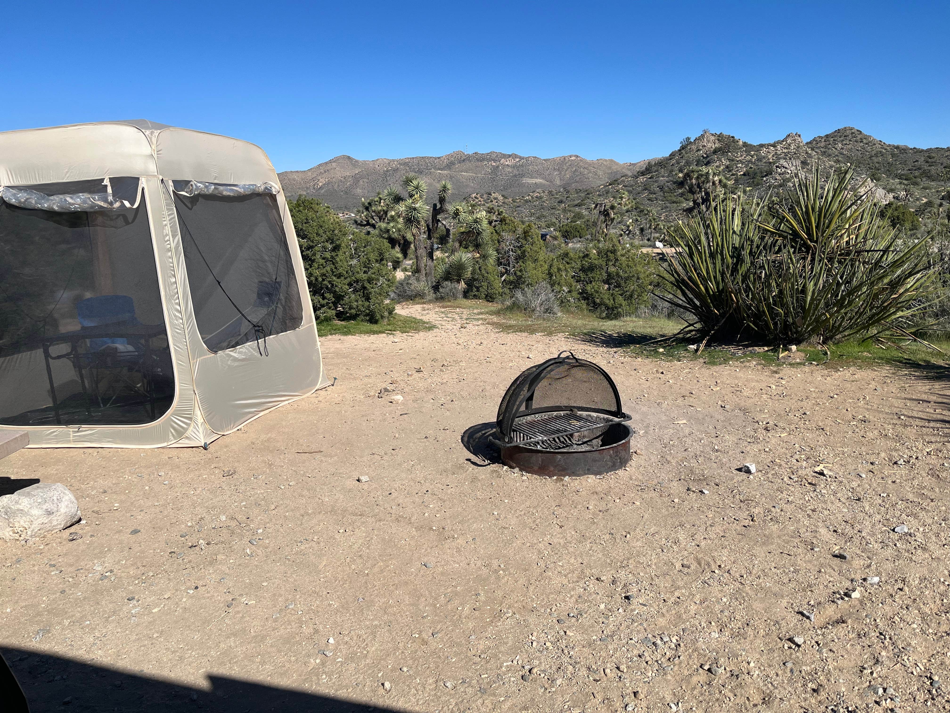 Peggy M.'s photo at Black Rock Campground — Joshua Tree National Park near Yucca Valley, CA