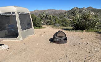 Peggy M.'s photo at Black Rock Campground — Joshua Tree National Park near Pioneertown, CA