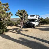 Review photo of Black Rock Campground — Joshua Tree National Park by Ursula , February 13, 2026