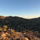 Review photo of Black Rock Campground — Joshua Tree National Park by Sierra T., March 16, 2025