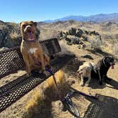 Review photo of Black Rock Equestrian Campground — Joshua Tree National Park by Judith W., March 3, 2025