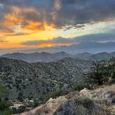 Review photo of Black Rock Equestrian Campground — Joshua Tree National Park by Judith W., March 3, 2025