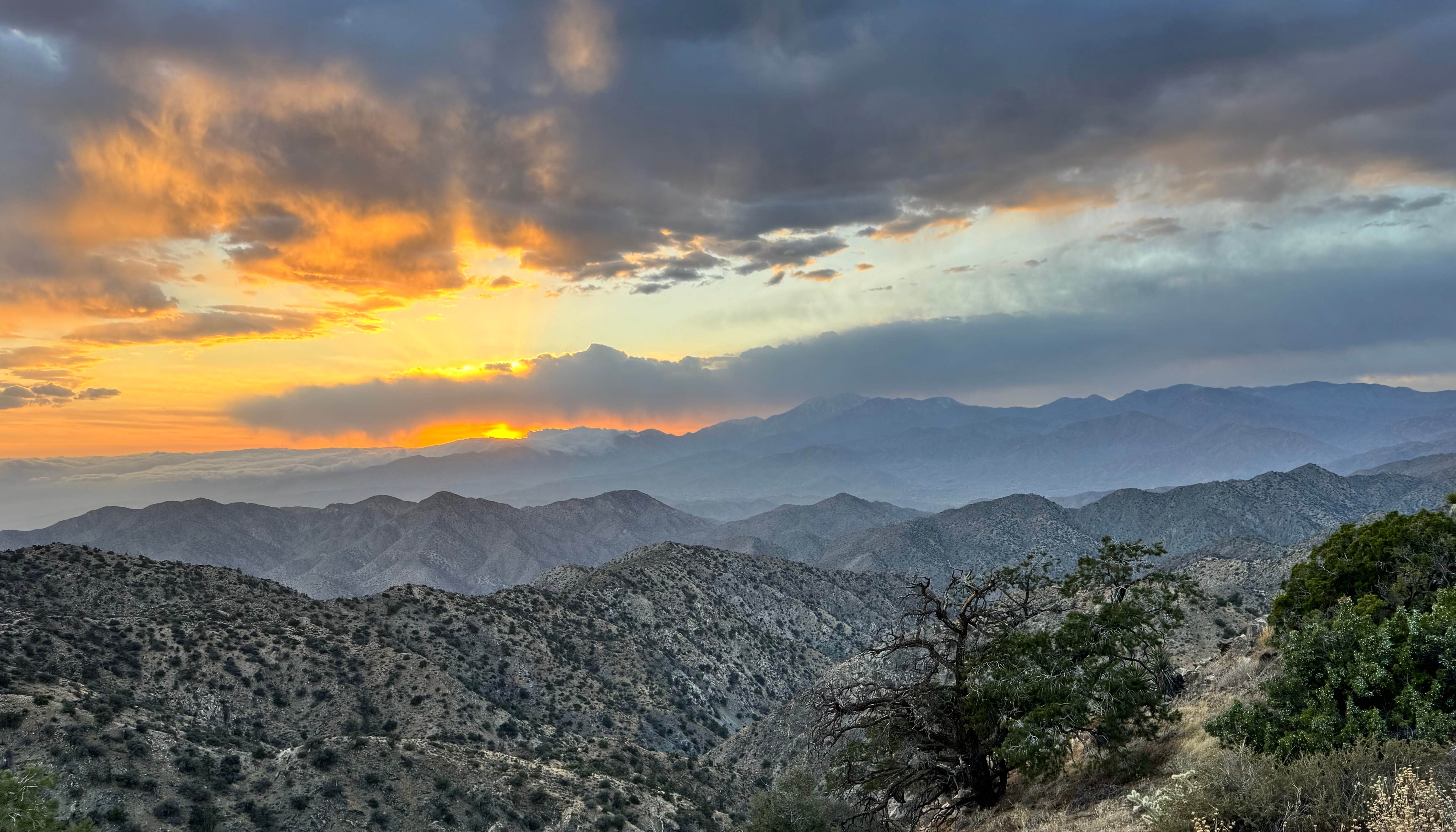 Joshua Tree National Park