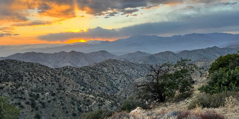 Camper submitted image from Black Rock Equestrian Campground — Joshua Tree National Park