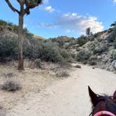 Review photo of Black Rock Equestrian Campground — Joshua Tree National Park by Judith W., March 3, 2025