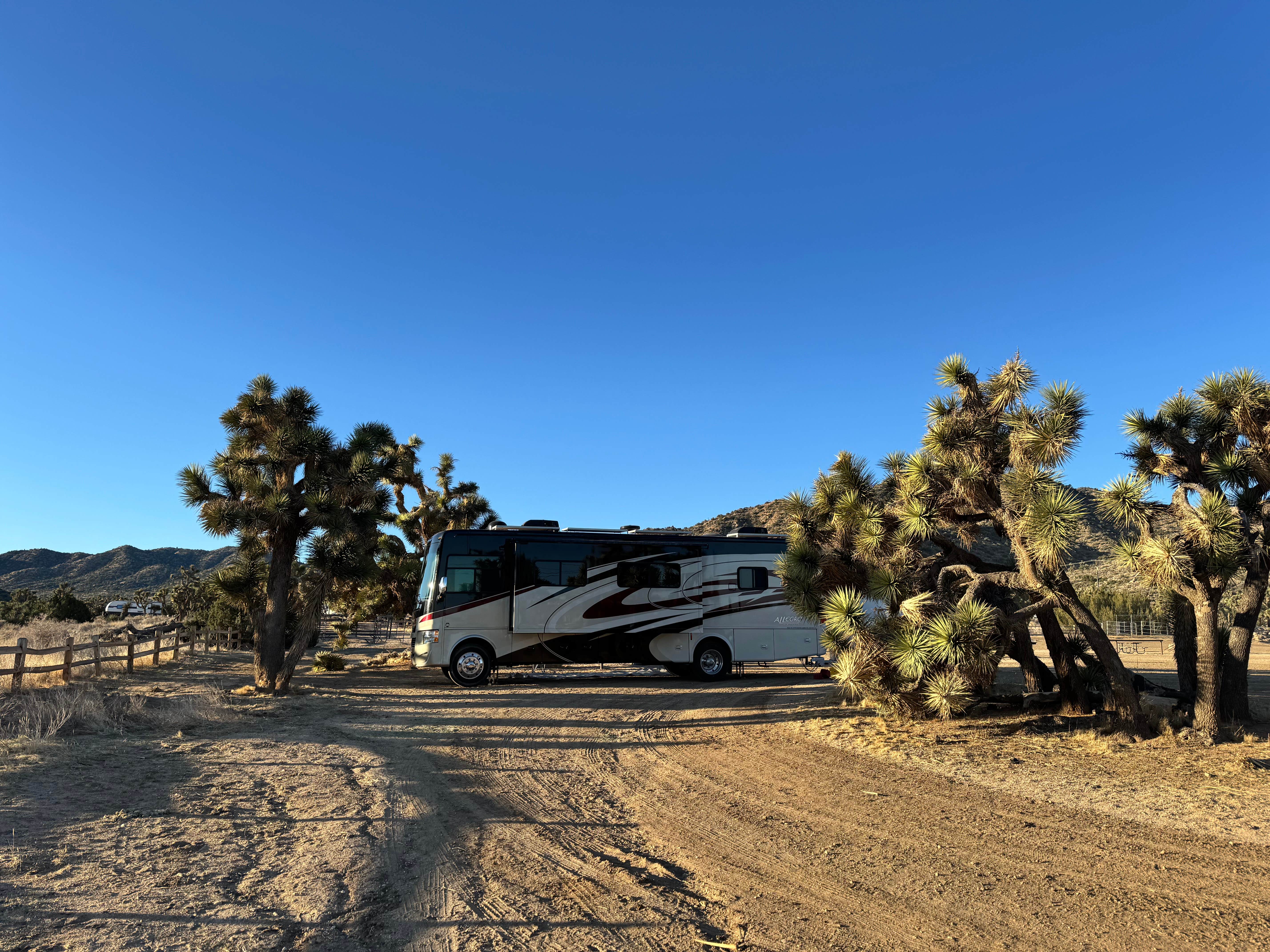Camper-submitted photo at Black Rock Equestrian Campground — Joshua Tree National Park near Bermuda Dunes, CA