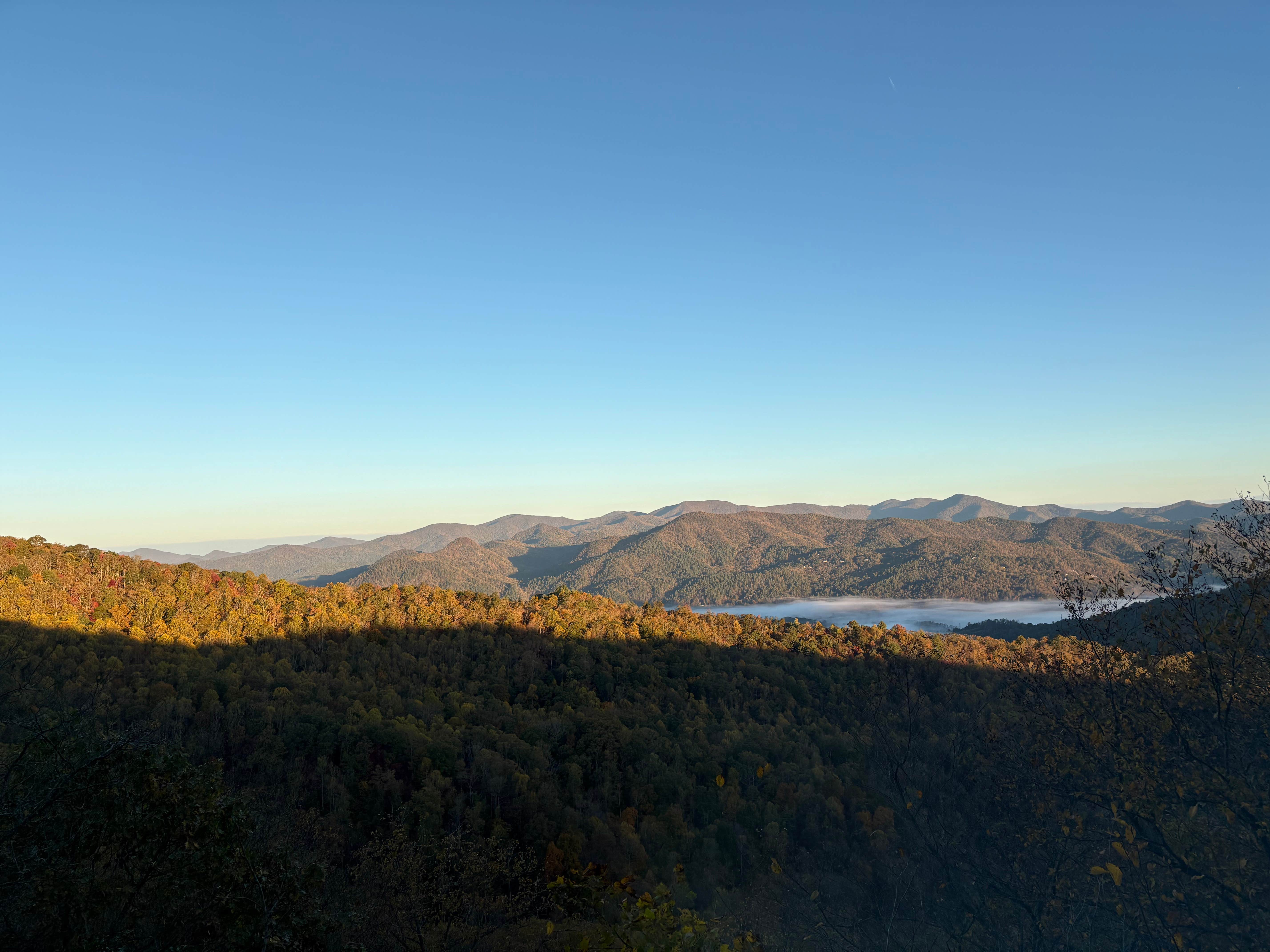 Camper submitted image from Fern Cove — Black Rock Mountain State Park - 1