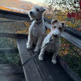 Review photo of Fern Cove — Black Rock Mountain State Park by Jody O., October 23, 2025