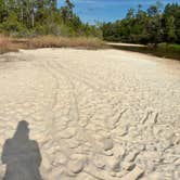 Review photo of Blackwater River State Park Campground by Lisa M., September 25, 2025