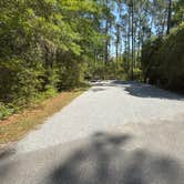 Review photo of Blackwater River State Park Campground by Emily F., April 17, 2025