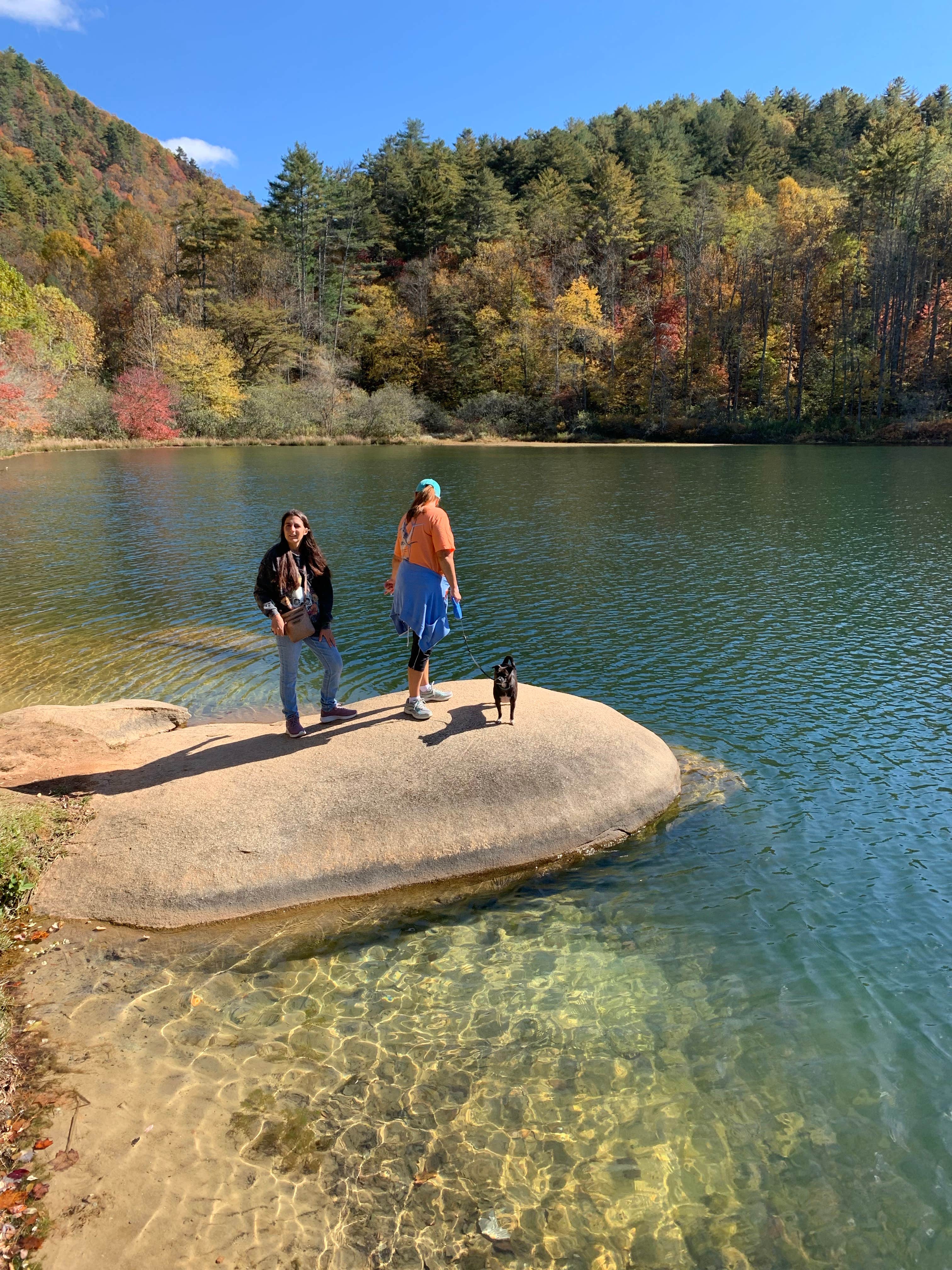 TIMOTHY O.'s photo of camping with pets at Blackwater River State Park Campground near Pace, FL