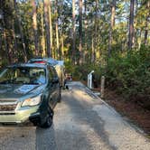 Review photo of Blackwater River State Park Campground by Richard R., December 27, 2024