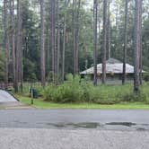 Review photo of Blackwater River State Park Campground by Ken D., September 14, 2026