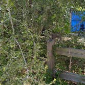 Review photo of Blackwater River State Park Campground by Emily F., April 17, 2025