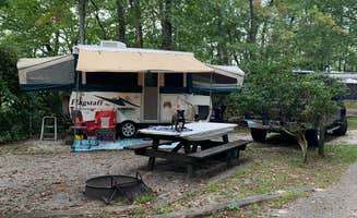 TIMOTHY O.'s photo at Blackwater River State Park Campground near Pace, FL