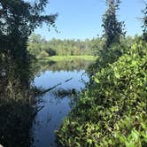 Review photo of Blackwater River State Park Campground by Ken D., September 14, 2026