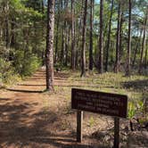 Review photo of Blackwater River State Park Campground by Emily F., April 17, 2025