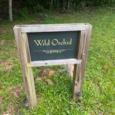 Review photo of Blackberry Blossom Farm & Campground by Angie A., July 14, 2025