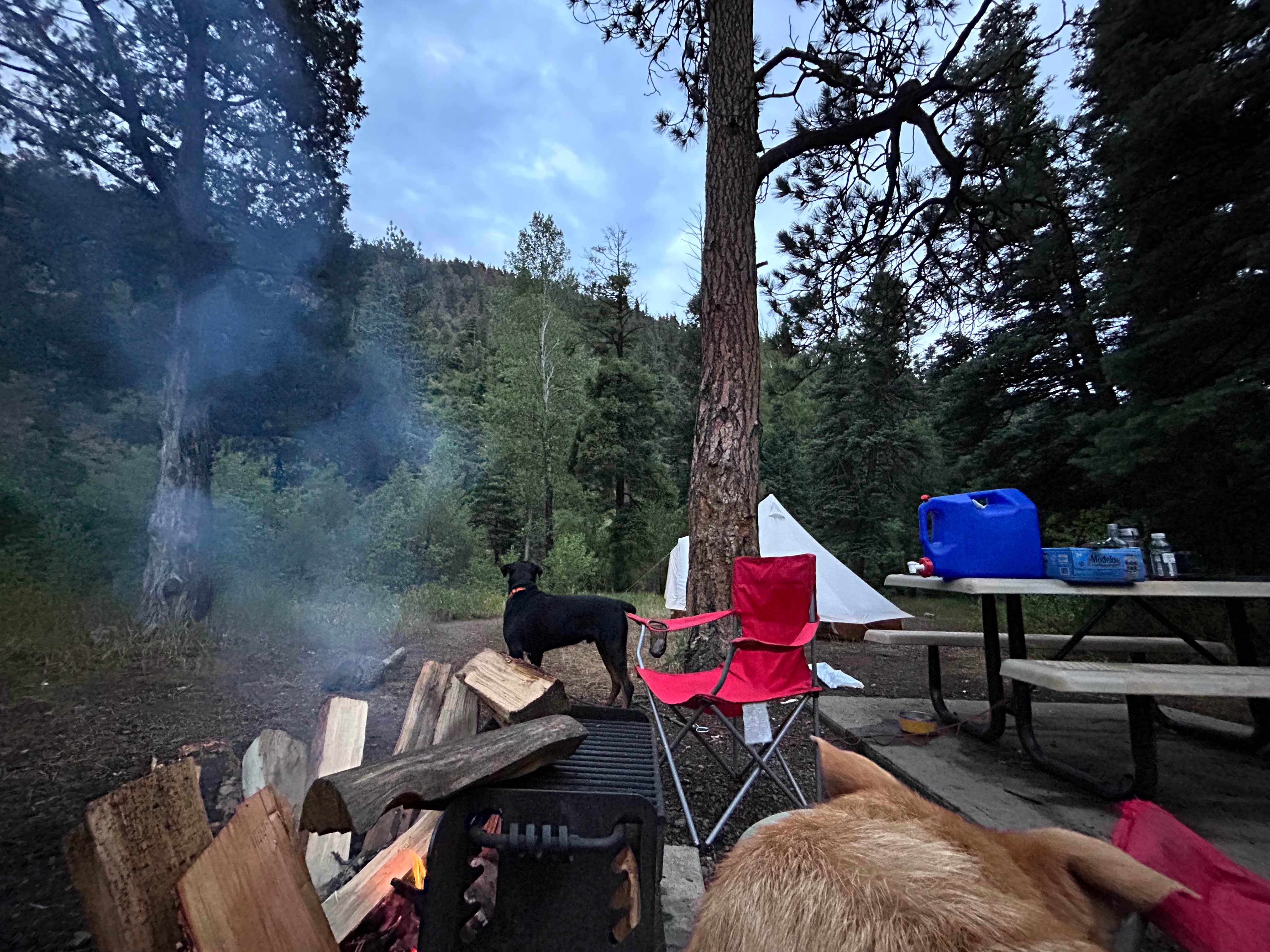 Camper submitted image from Blackjack Tent Area — Cimarron Canyon State Park - 3