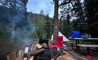 Josie H.'s photo of camping with pets at Blackjack Tent Area — Cimarron Canyon State Park near Wagon Mound, NM