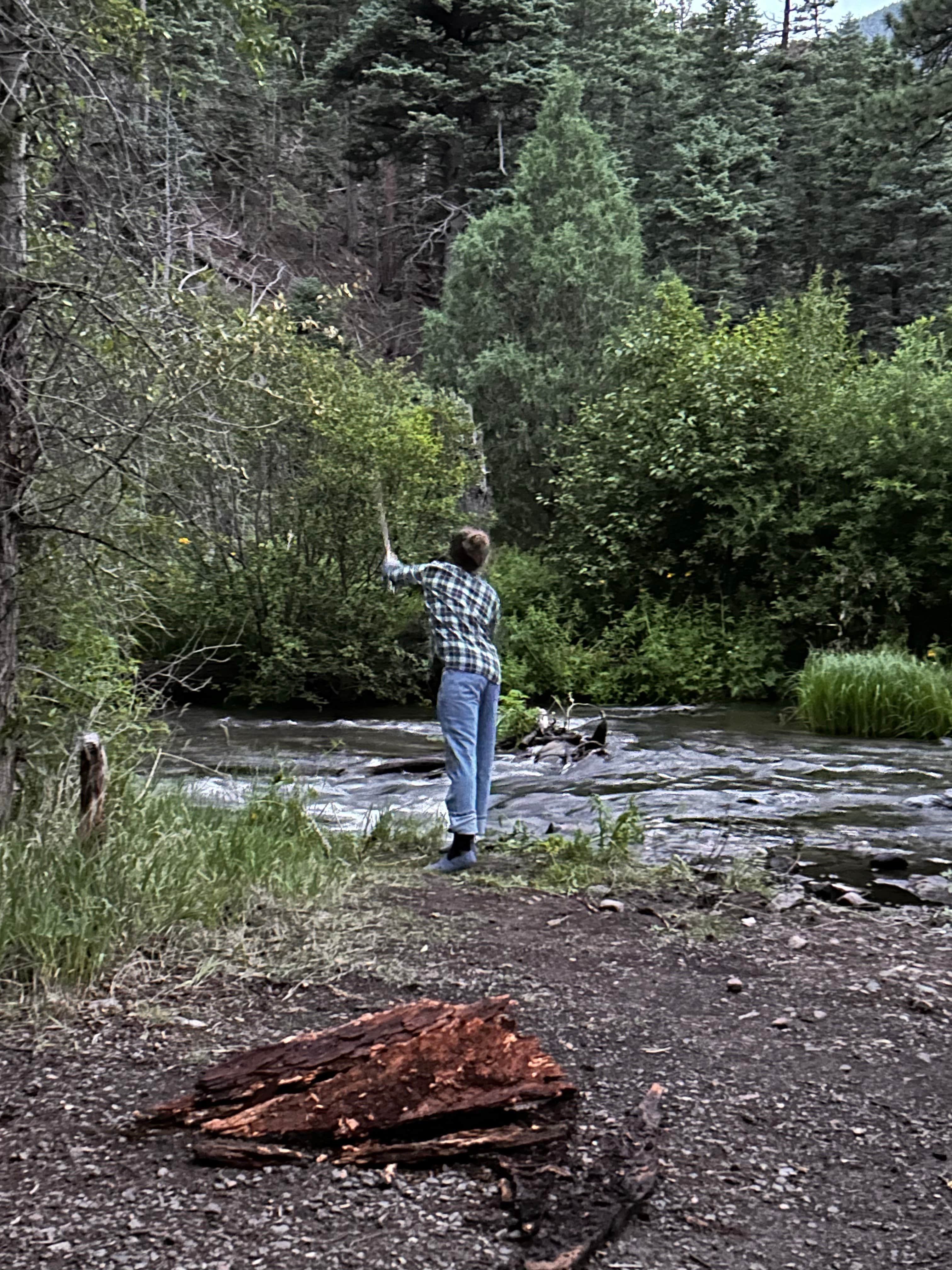 Camper submitted image from Blackjack Tent Area — Cimarron Canyon State Park - 5