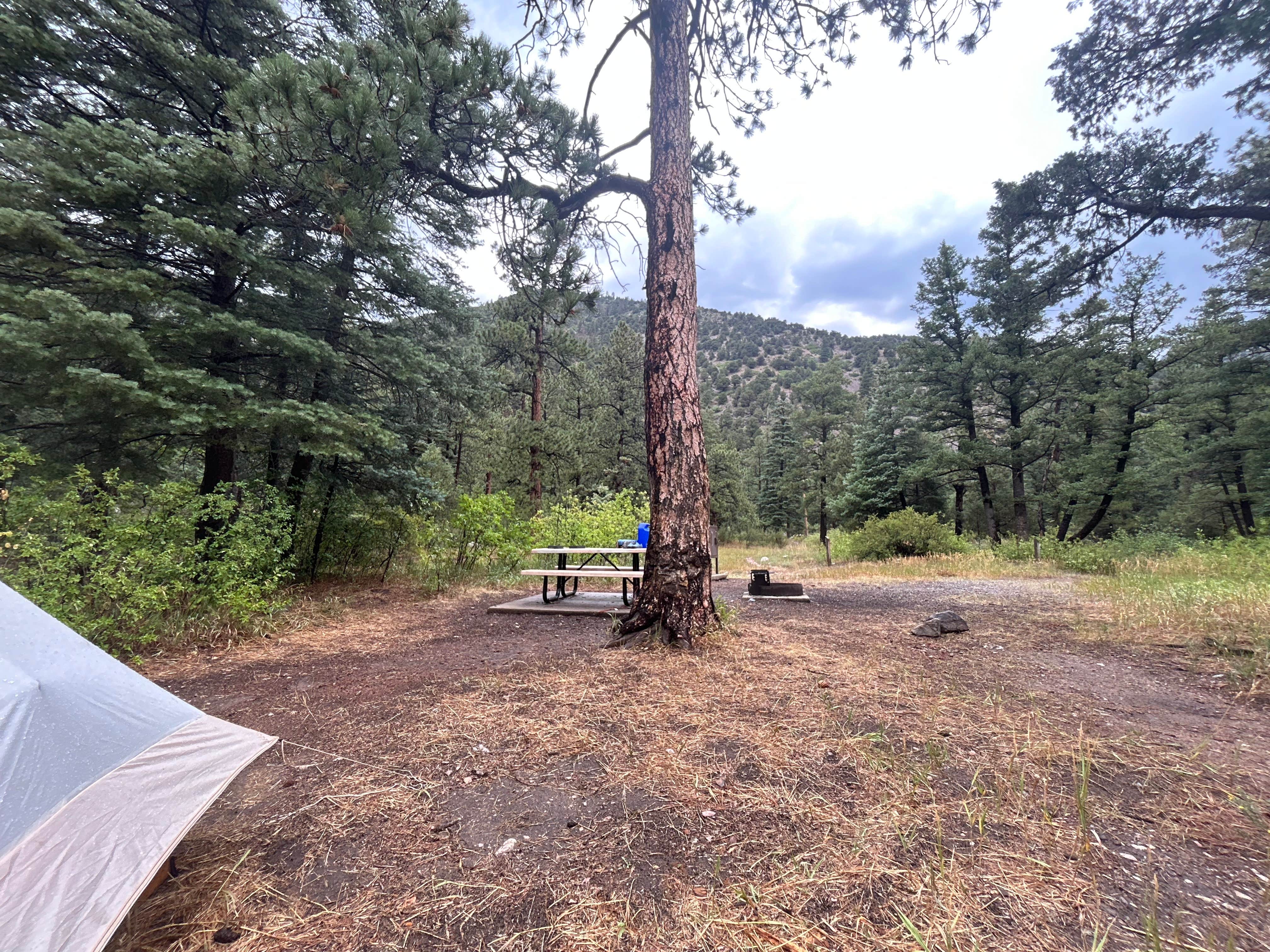 Josie H.'s photo of tent camping at Blackjack Tent Area — Cimarron Canyon State Park near Red River, NM