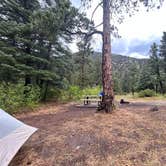 Review photo of Blackjack Tent Area — Cimarron Canyon State Park by Josie H., July 19, 2024