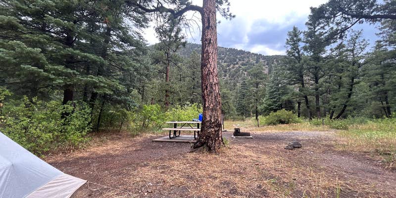 Camper submitted image from Blackjack Tent Area — Cimarron Canyon State Park