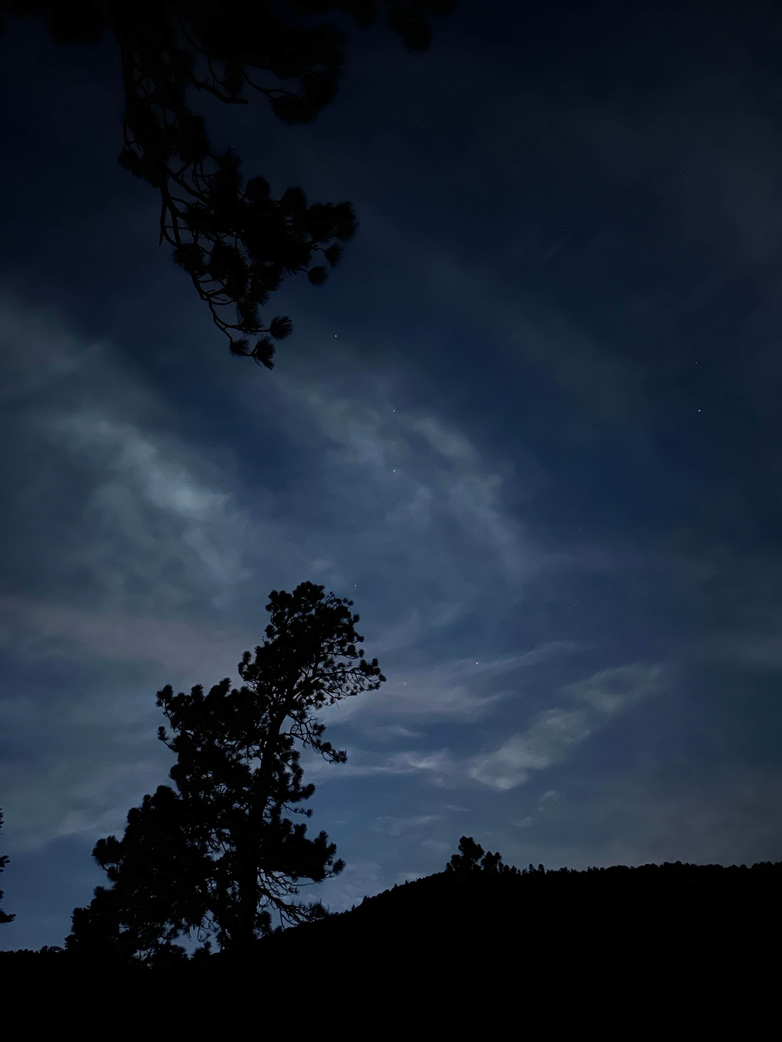 Camper-submitted photo at Blackjack Tent Area — Cimarron Canyon State Park near Red River, NM