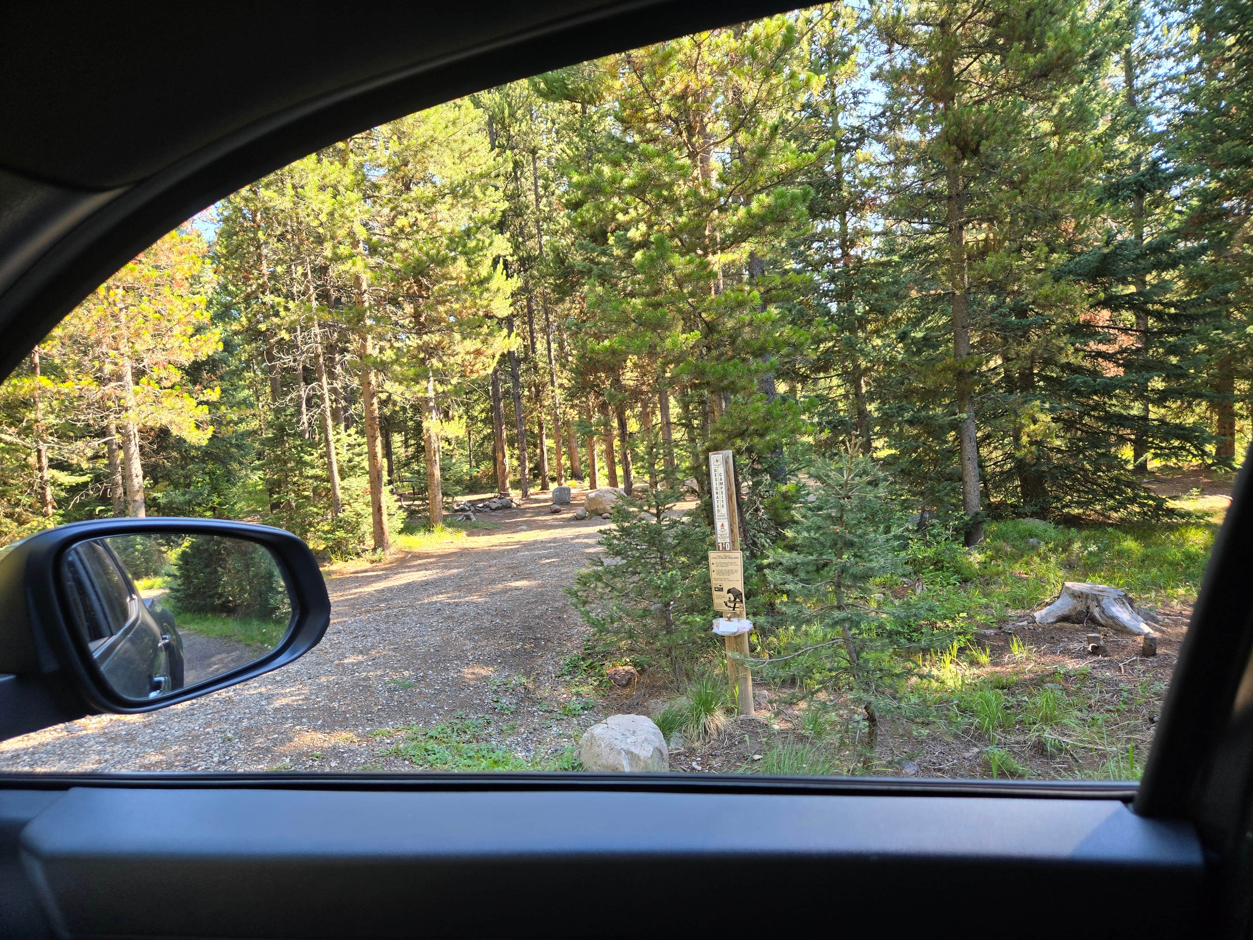 Camper submitted image from Blackmore Campground - 1
