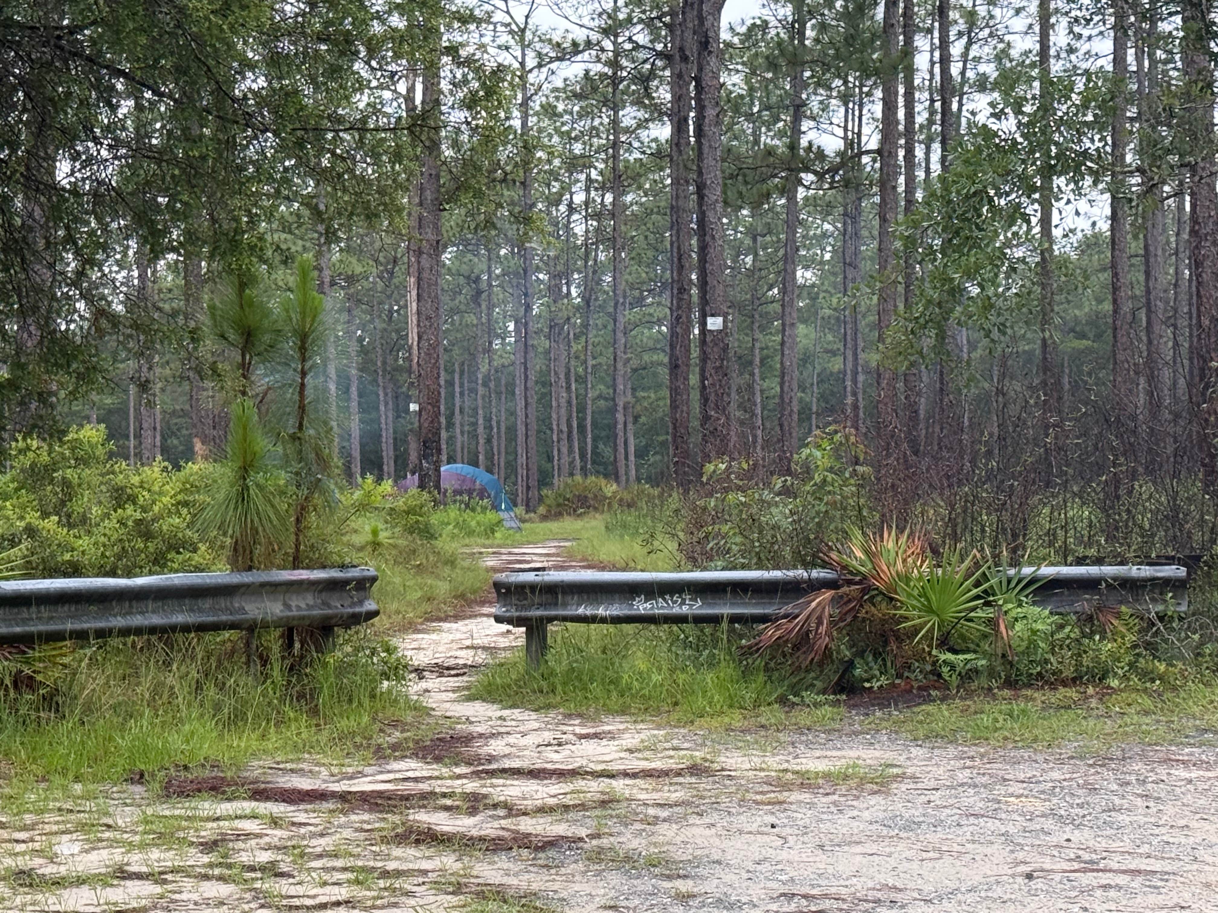 Camper-submitted photo at Blackwater River Boat Ramp Camp near Atmore, AL