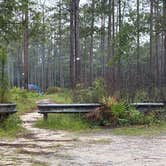 Review photo of Blackwater River Boat Ramp Camp by sheila C., June 9, 2026
