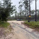 Review photo of Blackwater River Boat Ramp Camp by sheila C., June 9, 2026