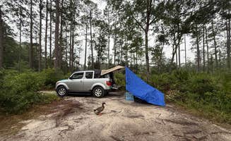 sheila C.'s photo of a dispersed camping area at Blackwater River Boat Ramp Camp near DeFuniak Springs, FL
