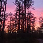 Review photo of Blackwater River Boat Ramp Camp by Allison Rae C., December 15, 2023