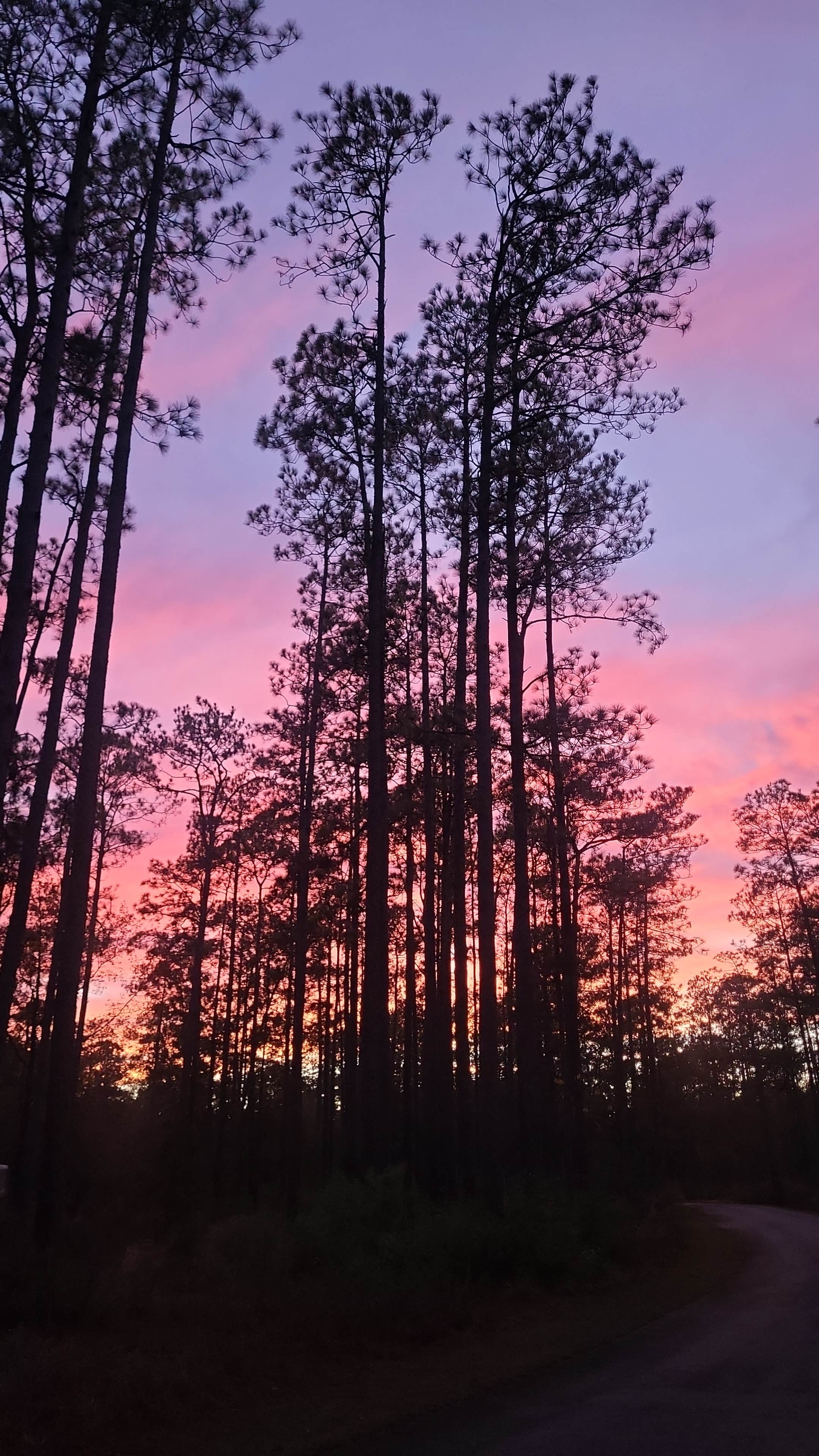 Camper submitted image from Blackwater River Boat Ramp Camp - 1