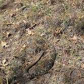 Review photo of Hurricane Lake South Campground by Caleb P., March 16, 2026