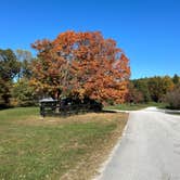 Review photo of Blackwell Campground — Hoosier National Forest by Betsy W., November 1, 2024