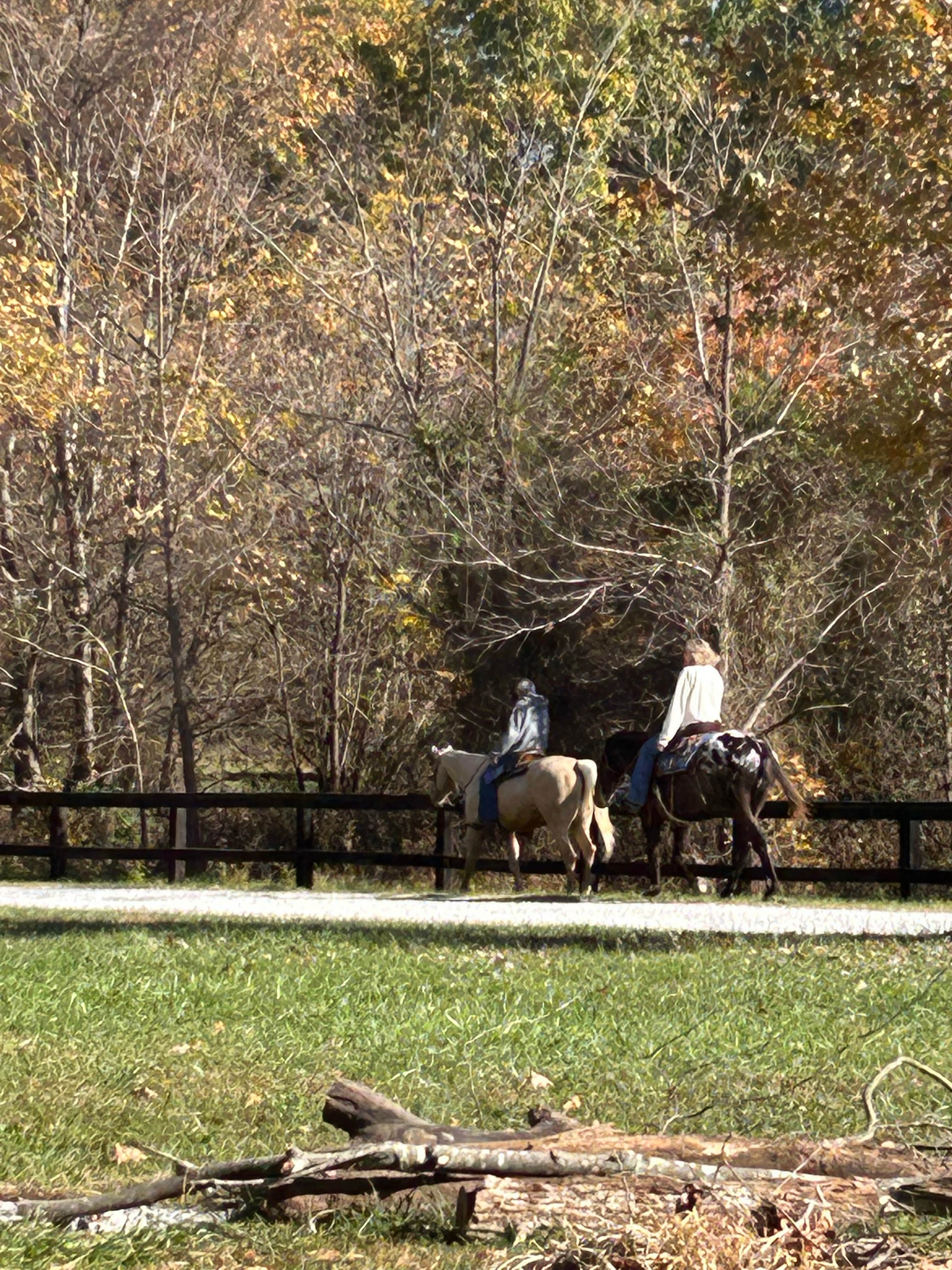 Betsy W.'s photo of camping with a horse at Blackwell Campground — Hoosier National Forest near Norman, IN