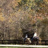 Review photo of Blackwell Campground — Hoosier National Forest by Betsy W., November 1, 2024